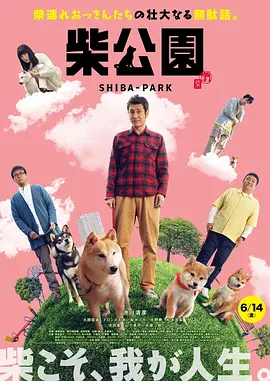 男人爽捅女人