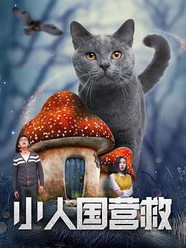 av在哪看