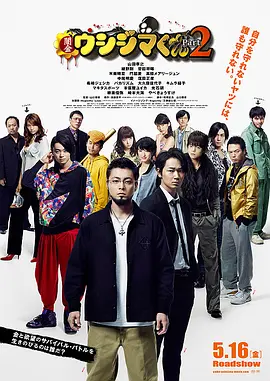 国产精品入口免费视