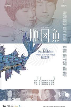 新面孔