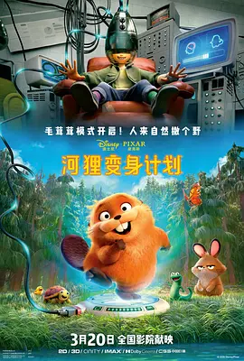 东北女人av