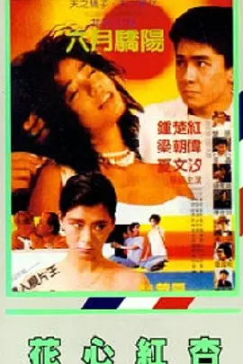 精品成人资源在线观看