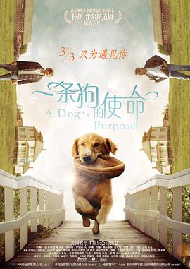 555www成人网