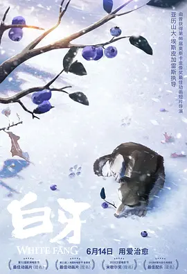 美国黄色影片