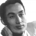 伊人狼人综合