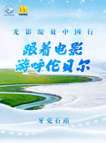 偶遇二姨