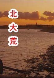精品国产国语对白主播野战