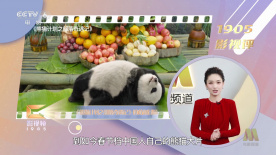 国产成人综合一区精品
